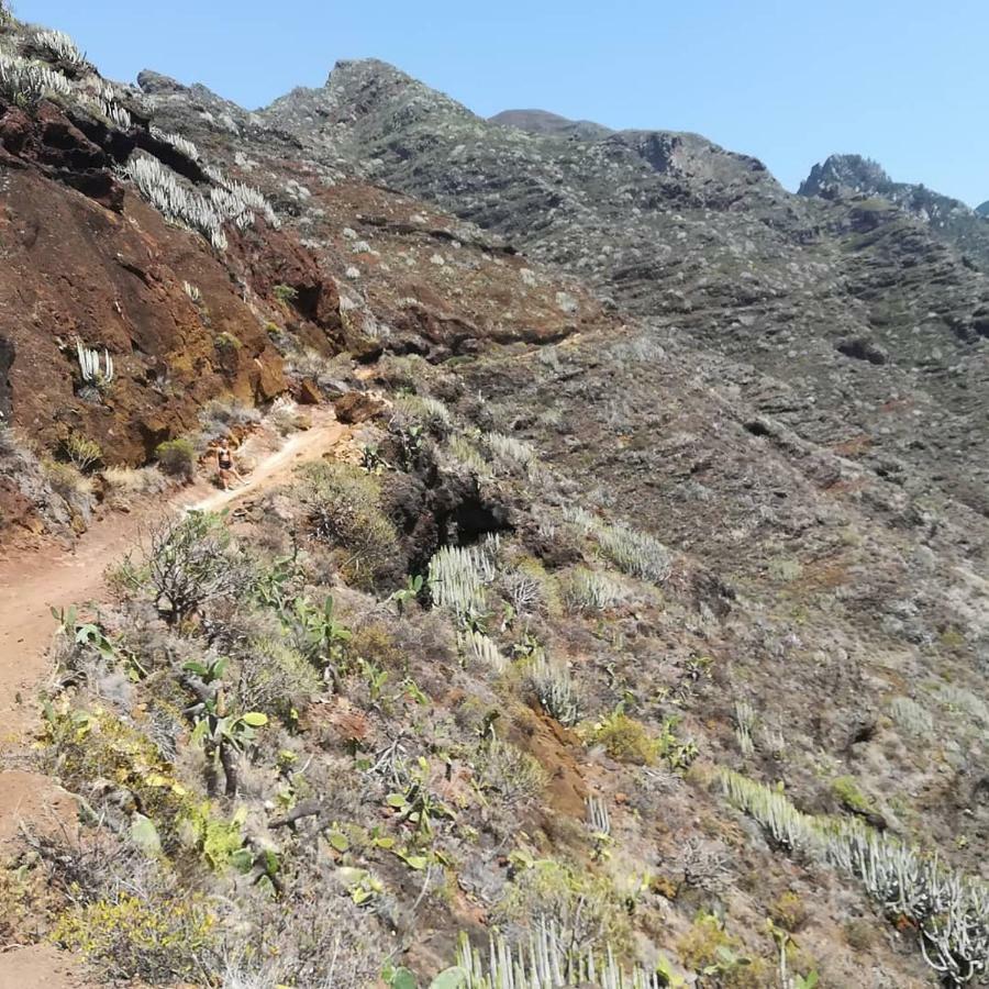 Tenerife Santa Cruz de Tenerife Eksteriør bilde