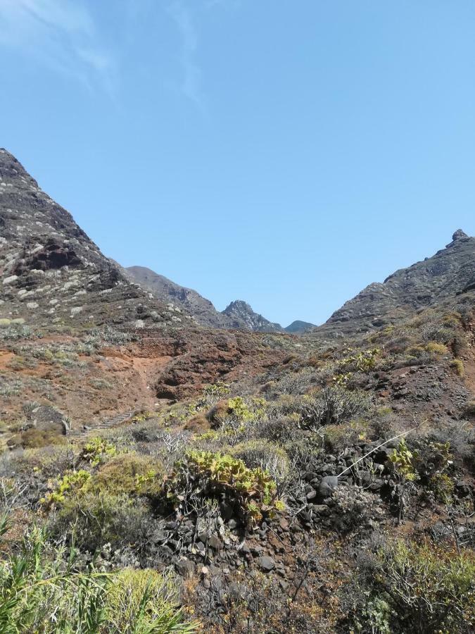Tenerife Santa Cruz de Tenerife Eksteriør bilde